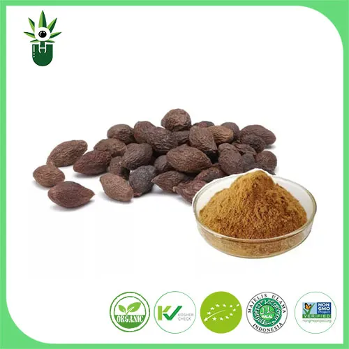 Scaphium Scaphigerum Extract