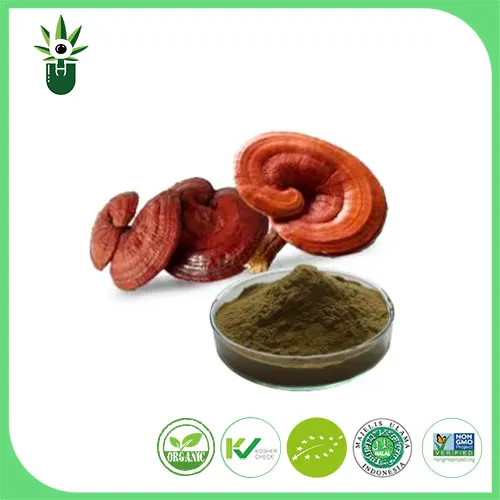 Estratto di Ganoderma Lucidum