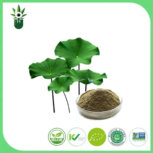 Lotus Leaf Extract