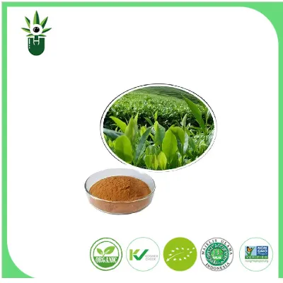 Natural Green Tea Extract 98% L