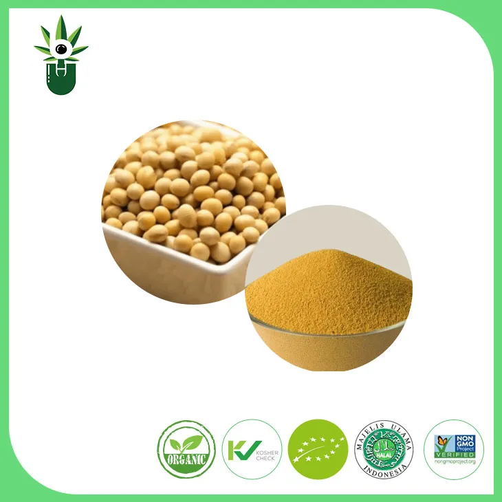Non-GMO Soybean Extract Powder 90% Soy Isoflavones
