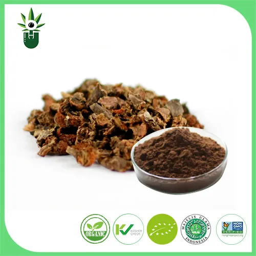 Chiết xuất Rhodiola Rosea