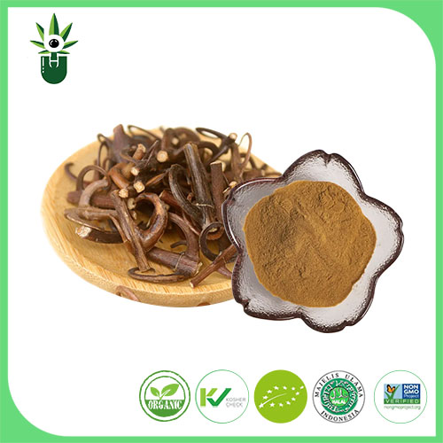 Uncaria Extract