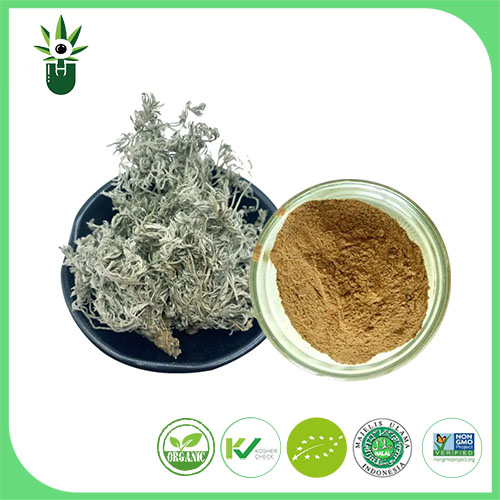 Artemisia Capillaris Thunb ekstraktı