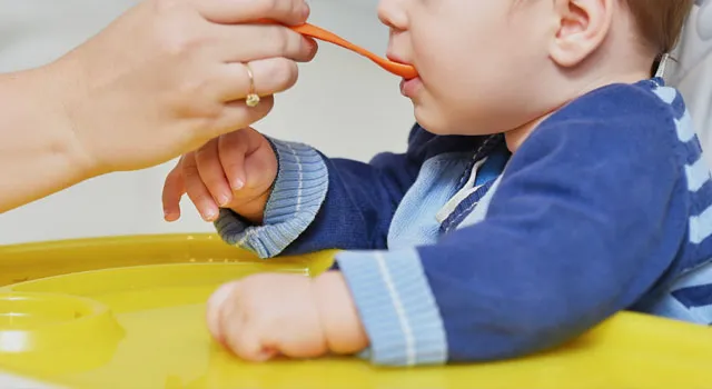 Processador de alimentos