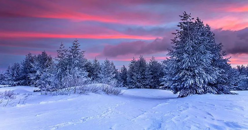 革新的で環境に優しく、分解可能な人工雪の結晶の探索