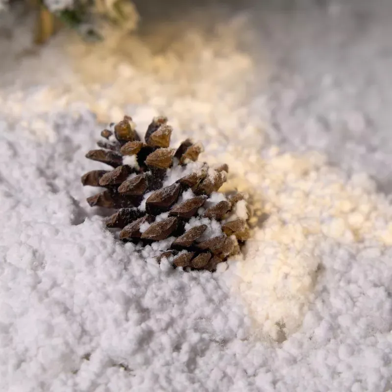 Baza śnieżna Biodegradowalna