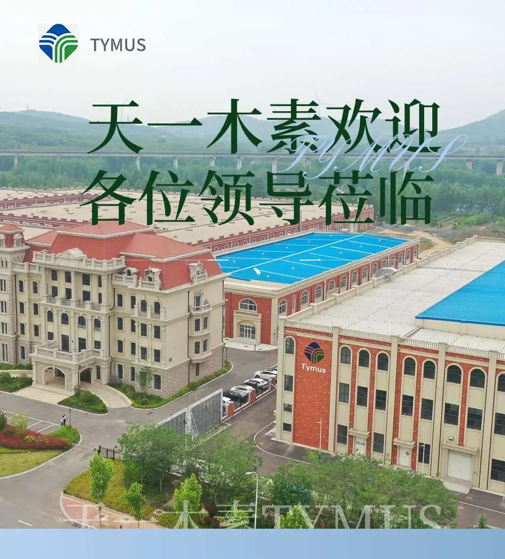 Grøn fremtid, et nyt kapitel - Qingdao University og Tianyi Group åbner i fællesskab en ny æra af grønne materialer med lavt kulstofindhold
