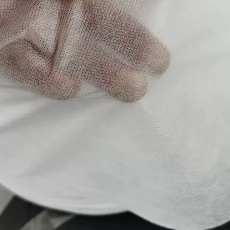 Polyester Viscose Non-Woven Fabric