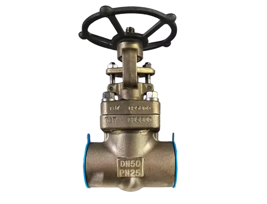 Aluminum Bronze Gate Valve