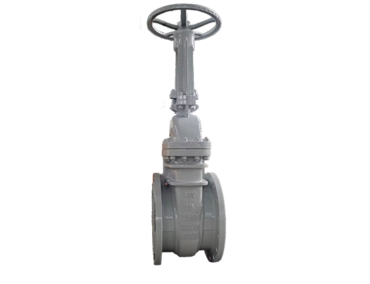  Gate Valve