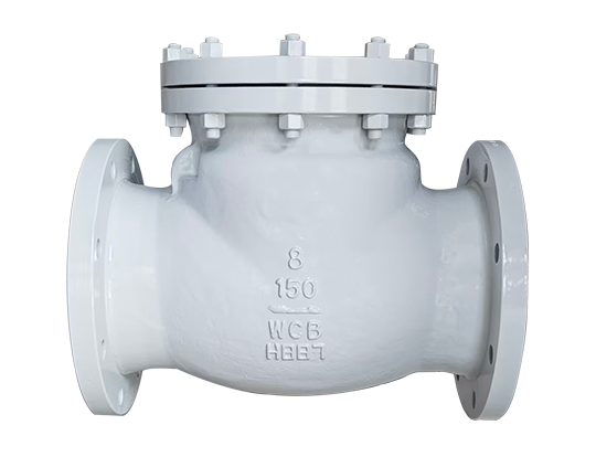 Check Valve