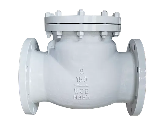 Swing Check Valve