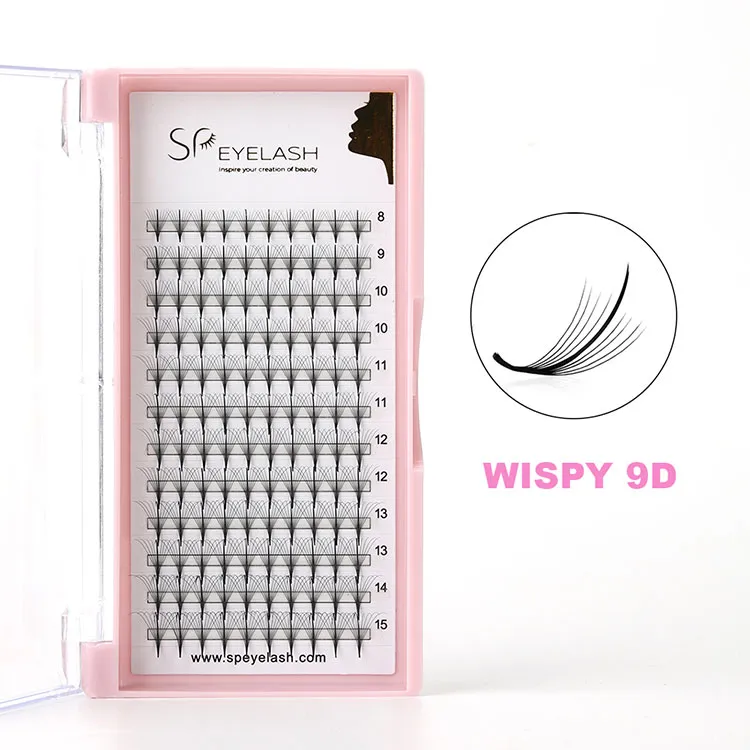 9D Wispy Lashes