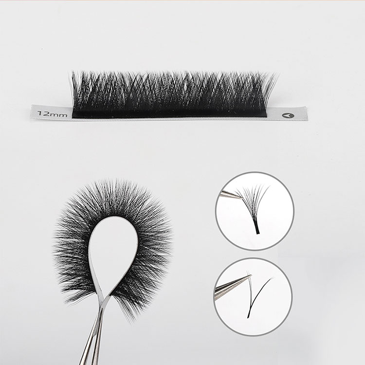 V Eyelash Extension