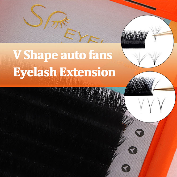 V Eyelash Extension