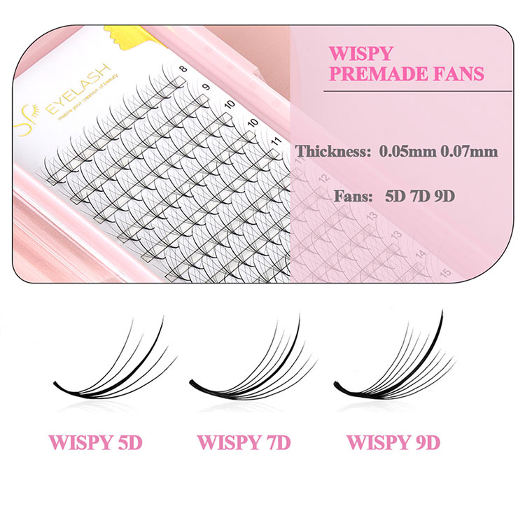 9D Wispy Lashes