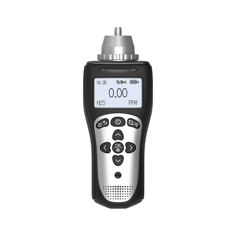 portable gas detector