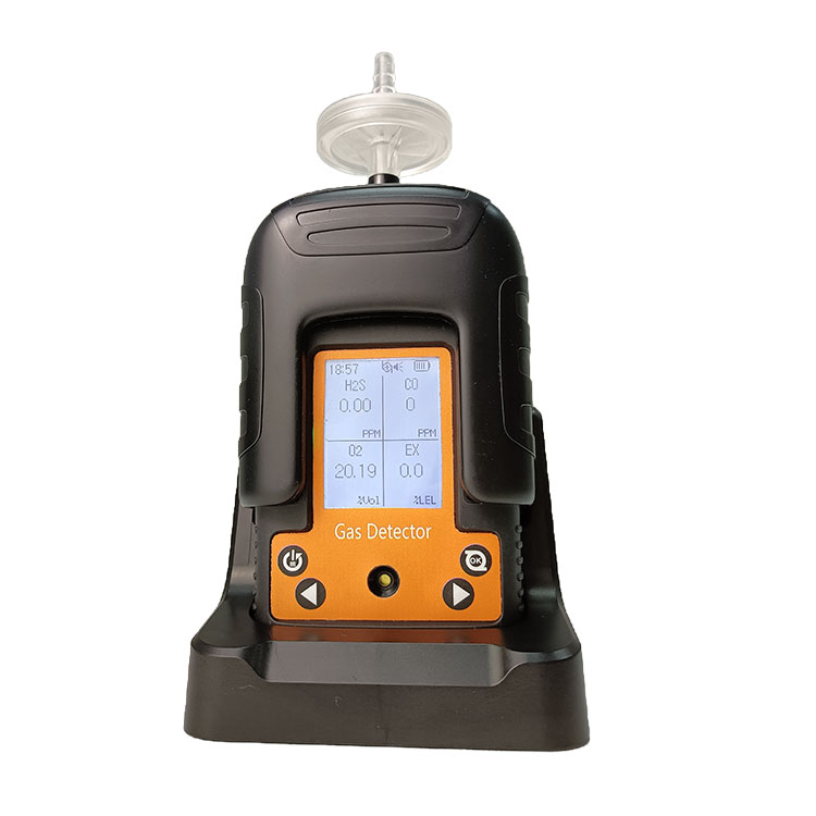 Portable 4-In-One Gas Detector