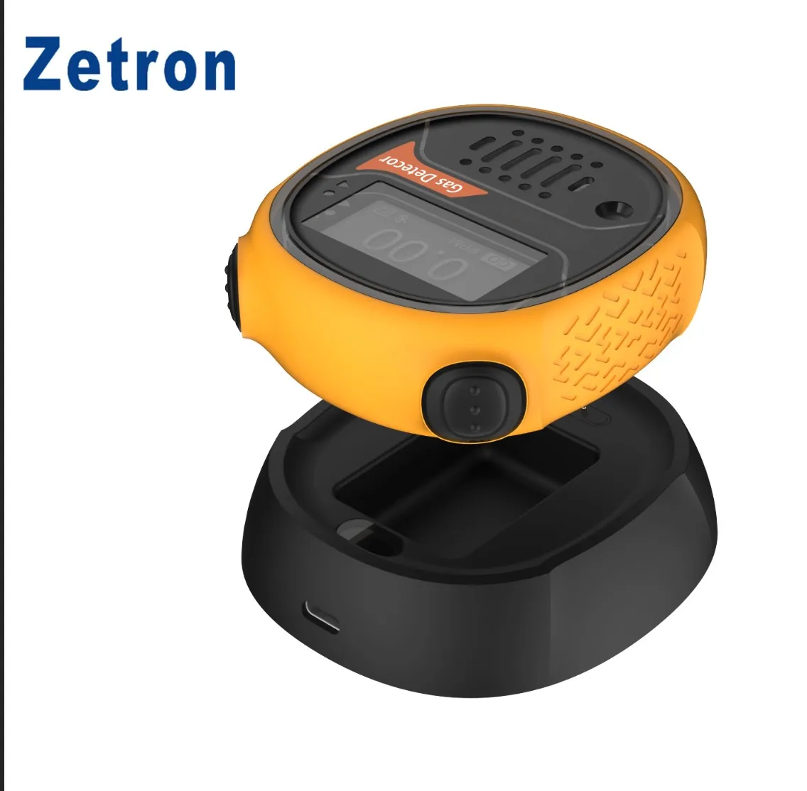 Portable Combustible Gas Detector