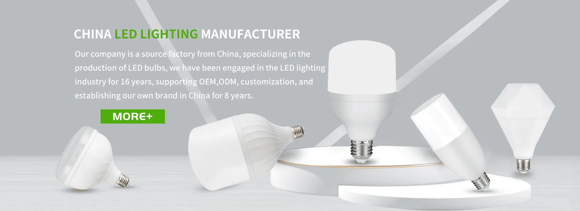 LED Light Bulb Manufacturer