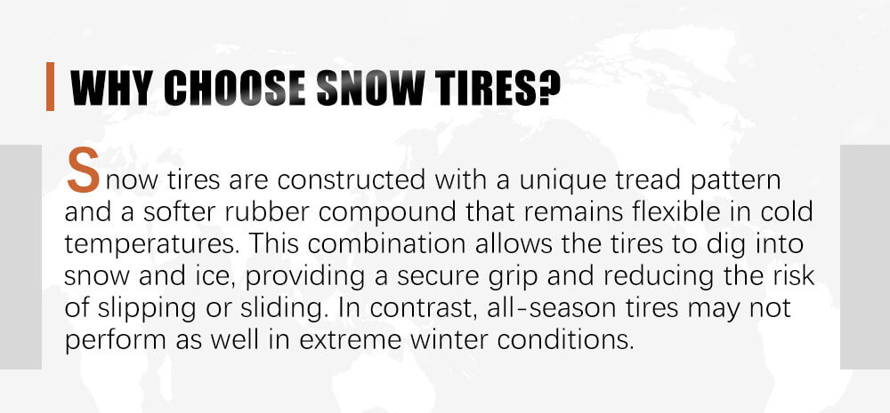 Snow Tire E256