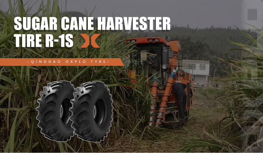 Sugar Cane Harvester Tire R-1S