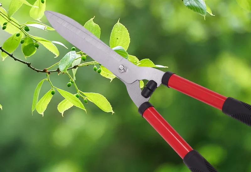 Hedge Shears