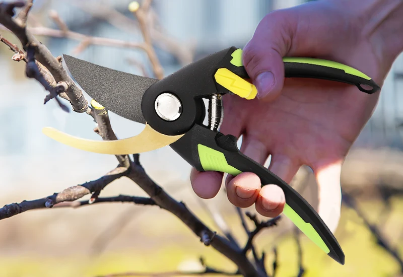 Garden Shears