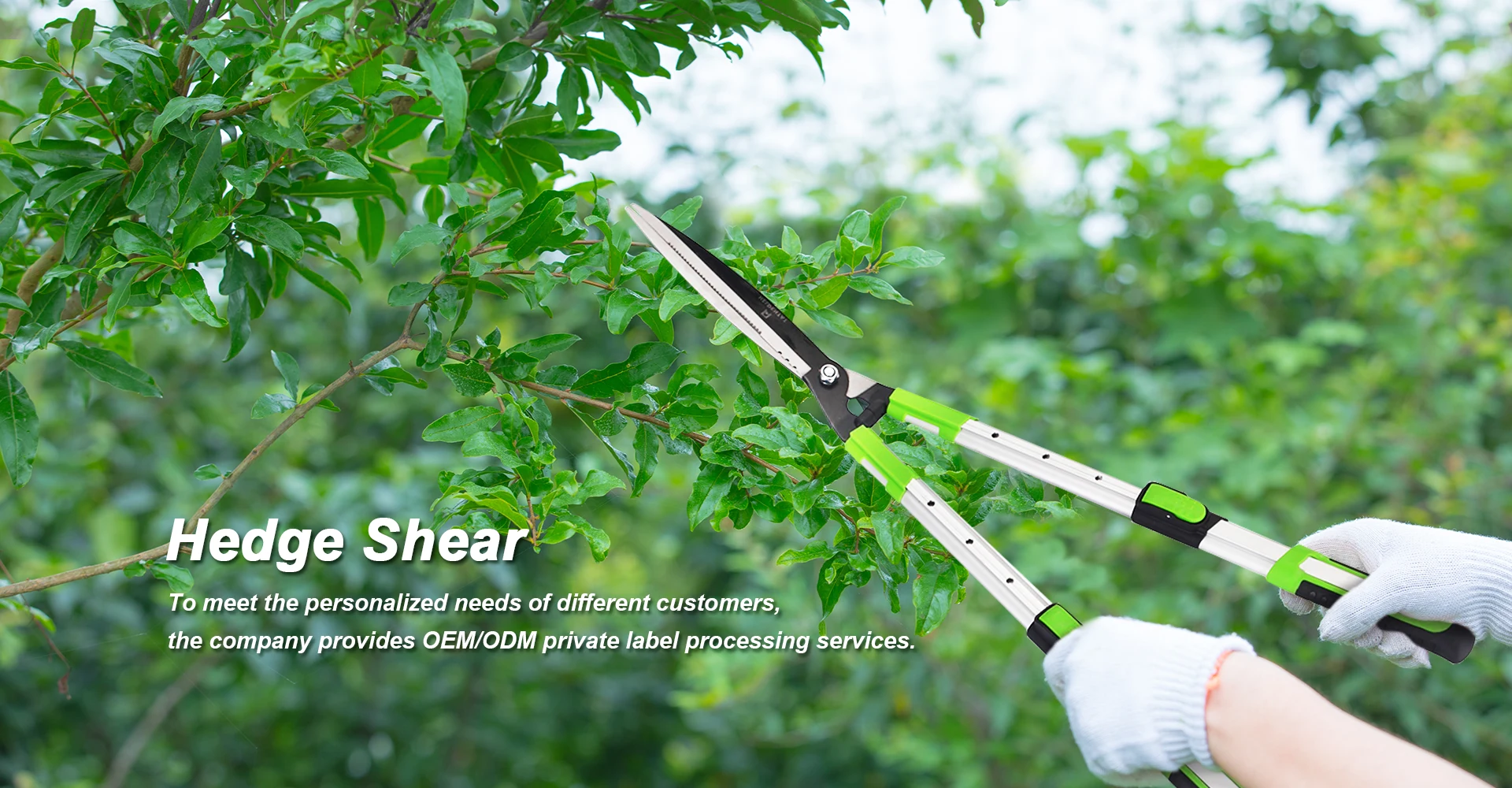 Hedge Shear Manufacturer