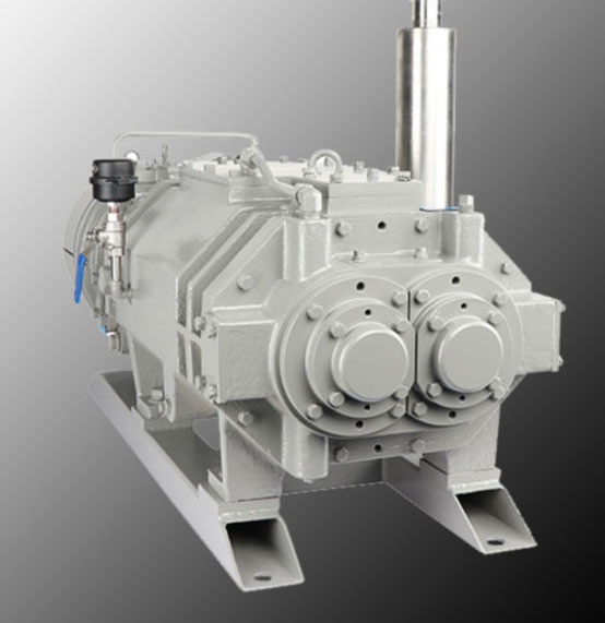 Dry Screw Vacuum Pumps