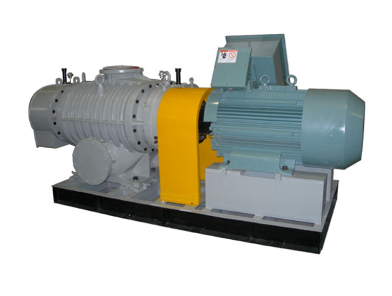 Roots Vacuum Pump