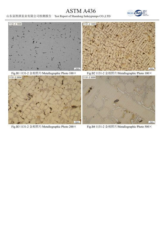 Metallographic Testing Photo