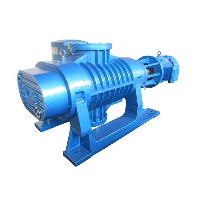 Roots Vacuum Pump