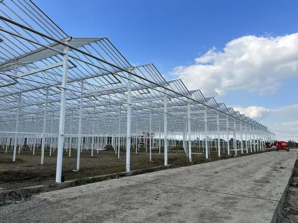 Ang pangunahing dahilan para sa prinsipyo ng glass greenhouse