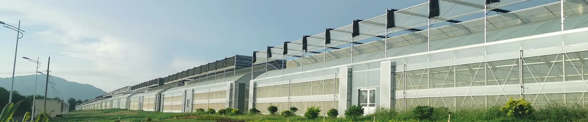 PC Greenhouse