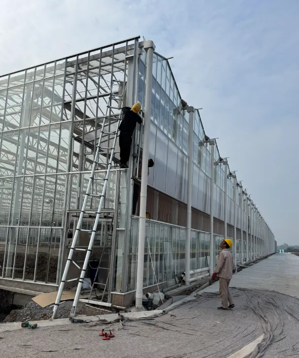 Our multispan glass greenhouse is about to be completed