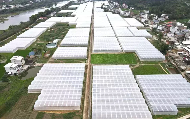 Our Film Greenhouse Site In Shenyang Has Snowed