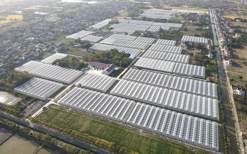 Film Greenhouse With Good Ventilation System