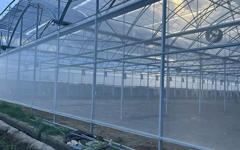 Greenhouse Insect Net