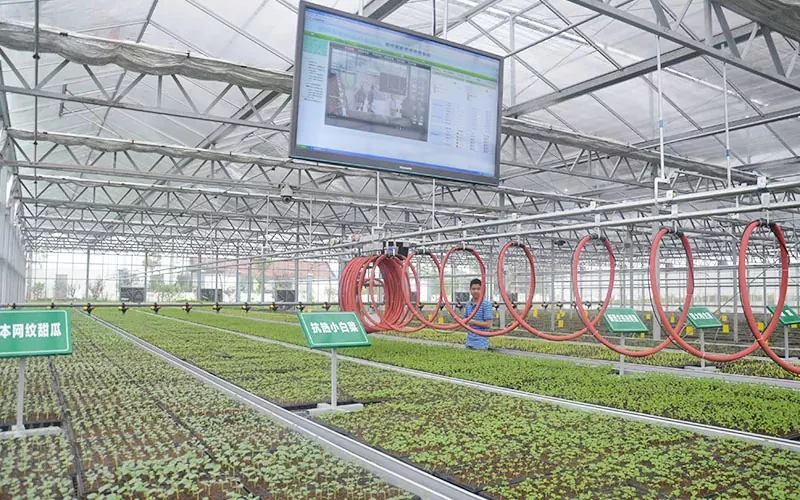 Greenhouse Irrigation System Mobile Sprinkler