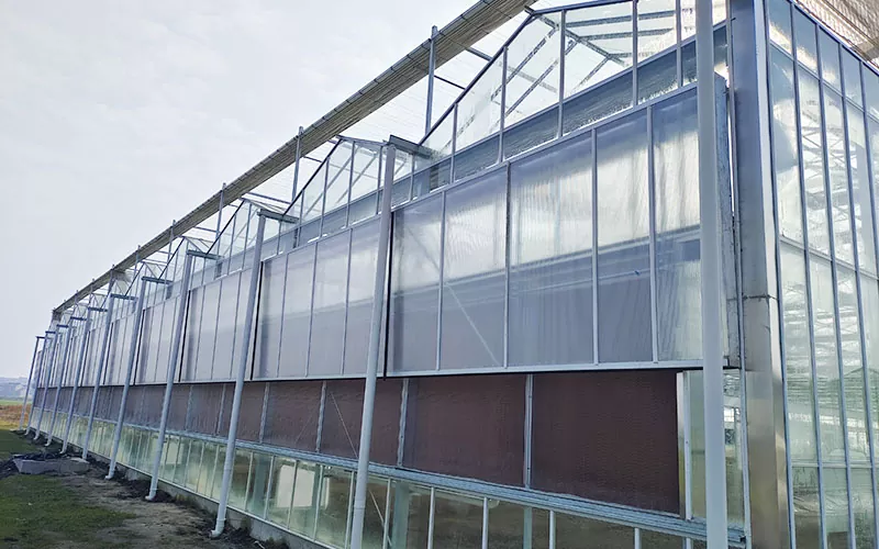 Multi-Span Clear Polycarbonate Greenhouse for Sale