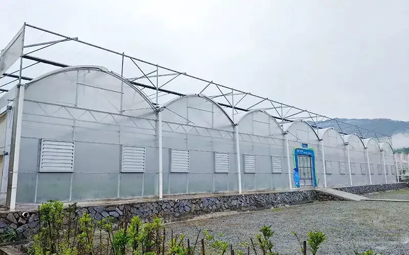 Multispan Plastic Film Greenhouse