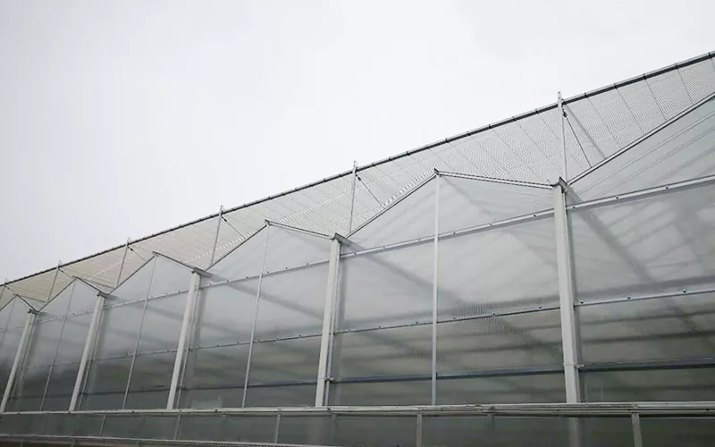 PC Sheet Greenhouse