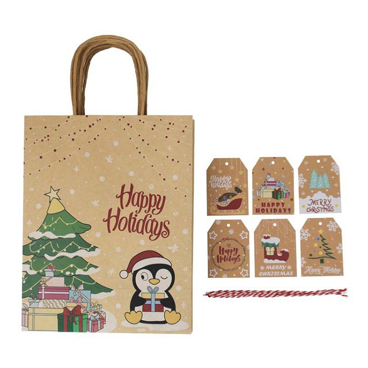 Luxury Gift Paper Bag