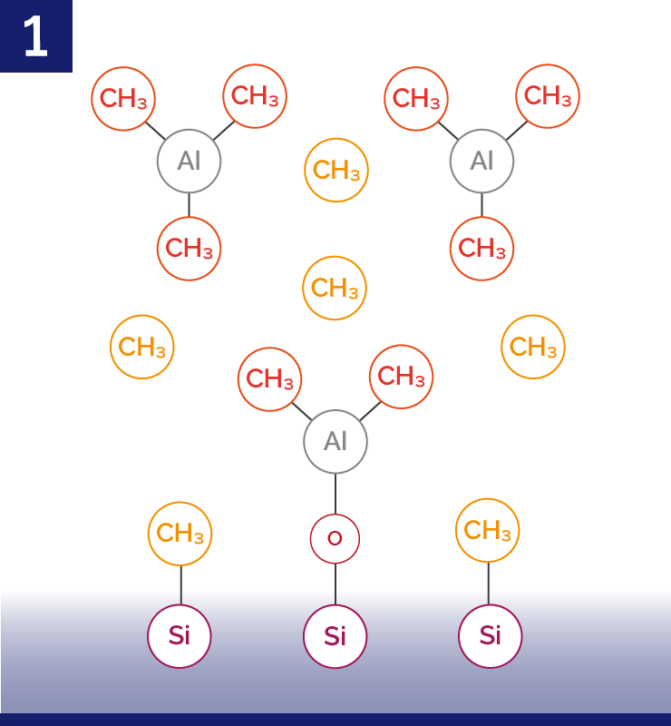 1st Half-Cycle