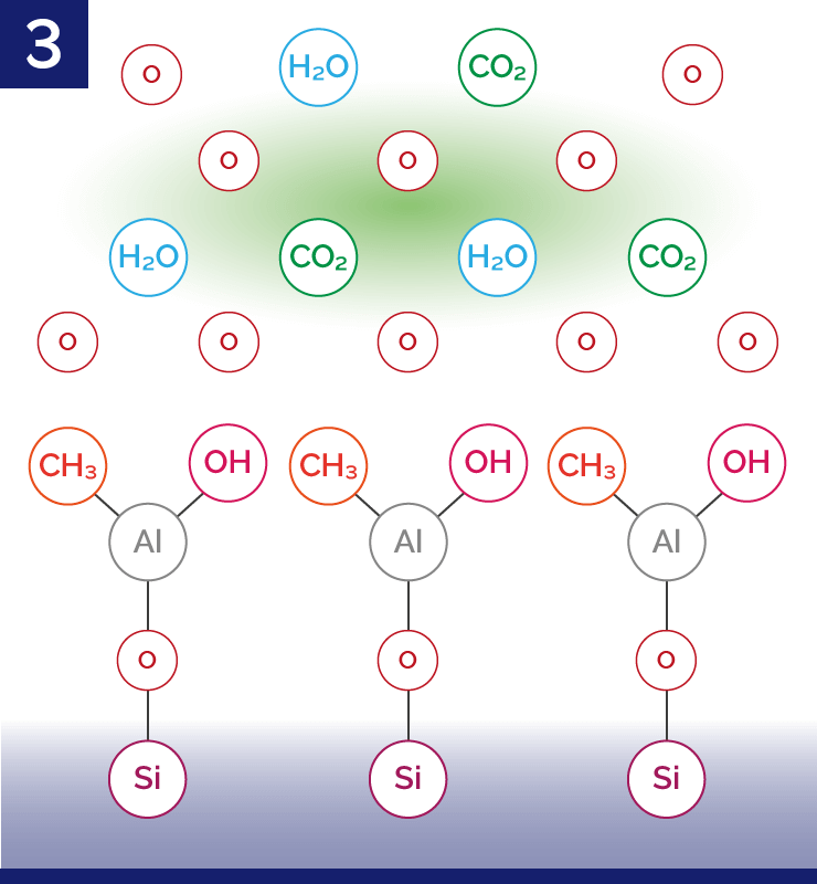 2nd Half-Cycle