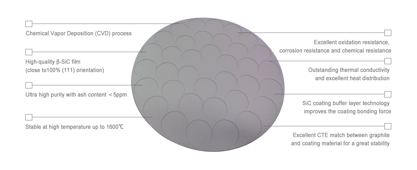 Silicon Carbide Coating