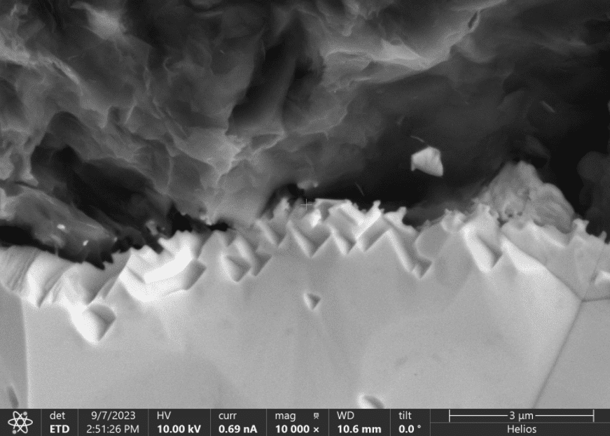 Tantalum carbide (TaC) coating on a microscopic cross-section 2