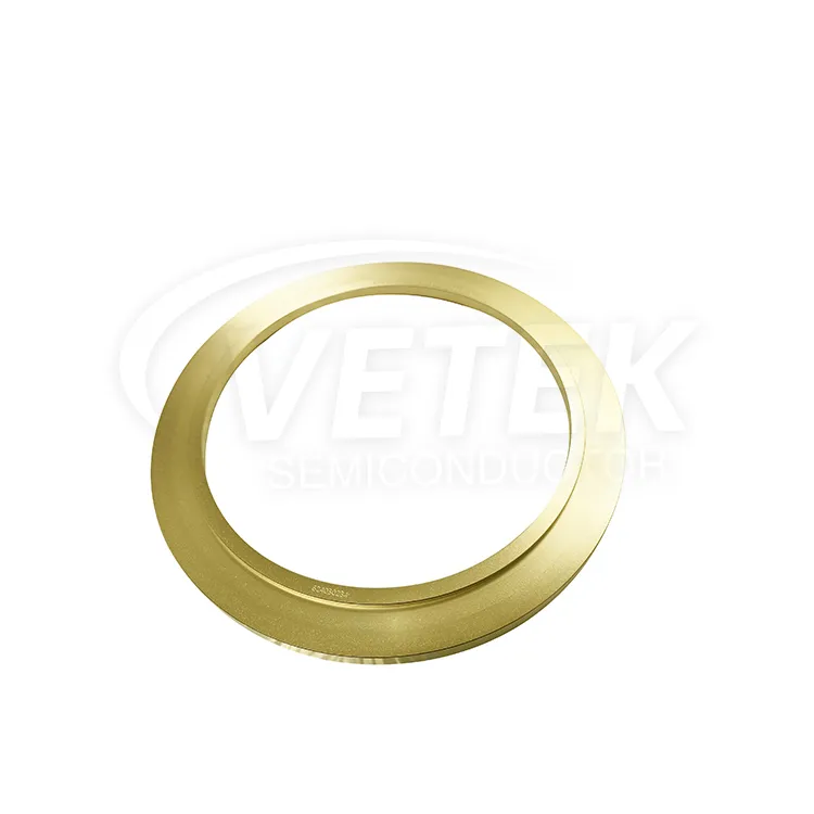 VETEK CVD TaC Coating Ring